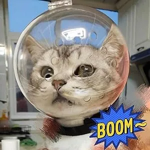 cat muzzle