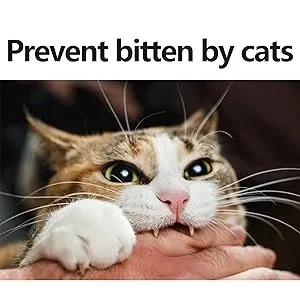 cat hood