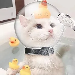 cat hood