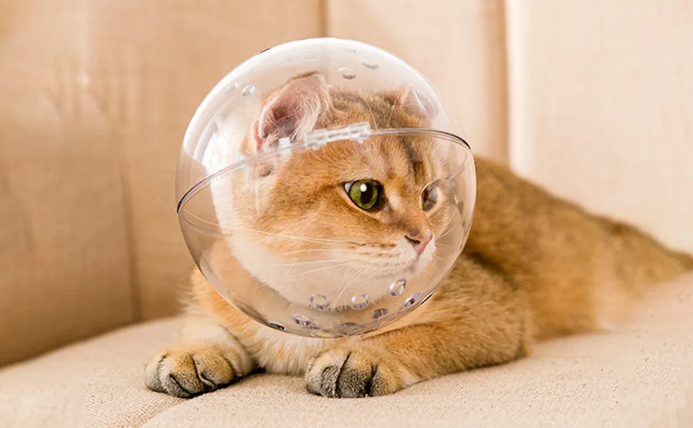 Breathable Cat Hood